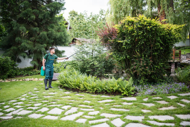 Best Ant Control Services  in Kerhonkson, NY