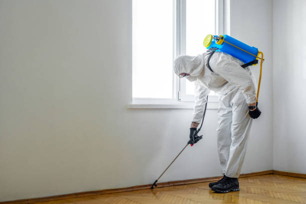 Best Termite Control Services  in Kerhonkson, NY